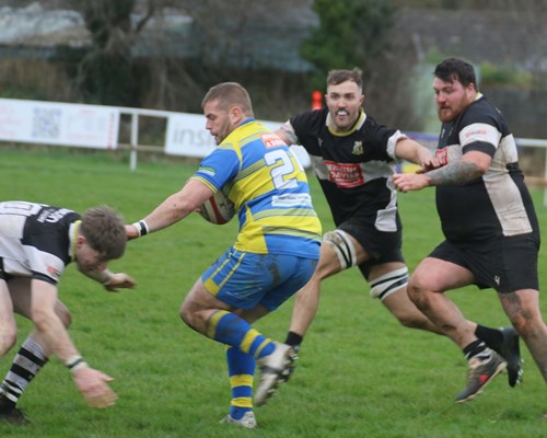 Pembrokeshire Rugby Roundup - 25th November 2023