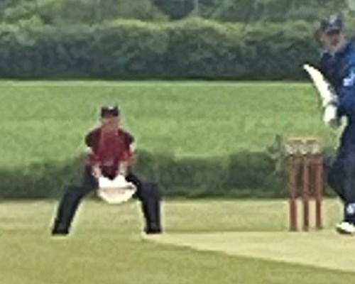Umpires have a Field day in applying the Laws correctly