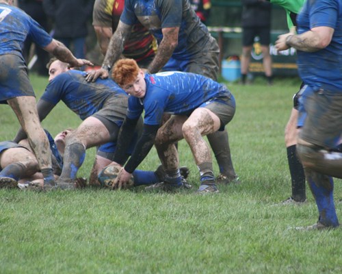 Rugby Match Photos: Haverfordwest 11-6 Cardigan
