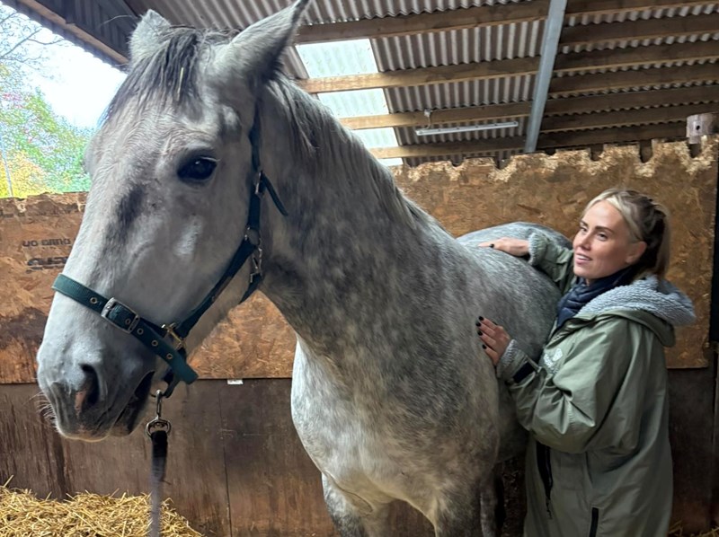 Equine Physiotherapy