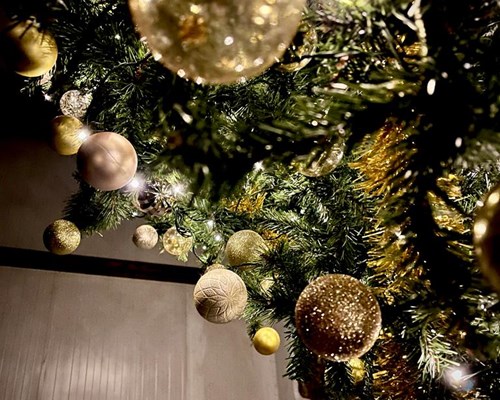 Christmas has arrived at Crug Glâs