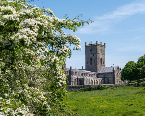 Rare 1588 Welsh Bible Returns to Wales for First Time – On Display at St Davids Cathedral