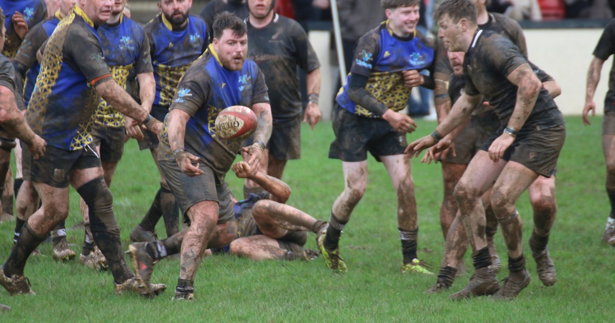 Quickleys Rugby Rugby Roundup - 2nd March 2024: Quins beat Neyland and St Davids win ...