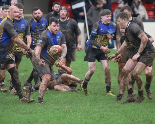 Rugby Roundup - 2nd March 2024: Quins beat Neyland and St Davids win again