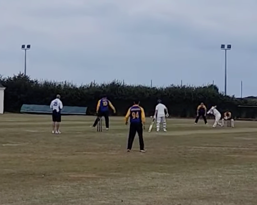 Pembrokeshire Divisions 3-6 Cricket Roundup, Saturday 23rd August 2025