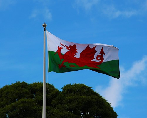 Pembrokeshire celebrates St. David's Day