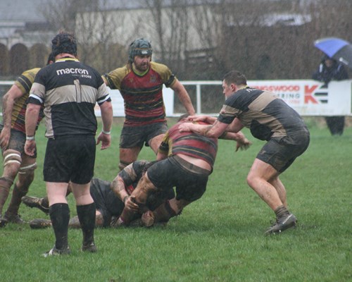 Match Photos: Pembroke Dock Harlequins RFC 12-38 Cardigan RFC