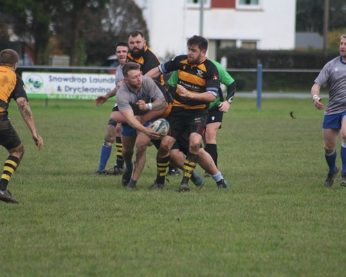 Pembrokeshire Rugby Roundup - 11th November 2023