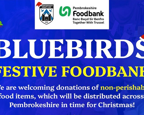 Haverfordwest County launch Bluebirds Festive Foodbank