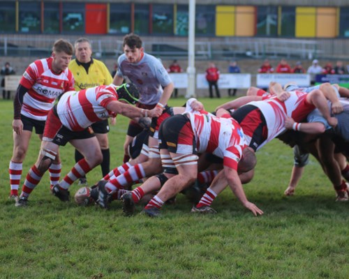 Pembrokeshire Rugby Roundup - 2nd December 2023