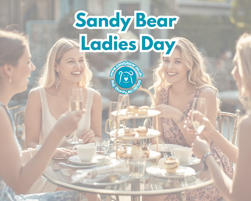 Sandy Bear launches first ever Ladies Day to raise vital funds for bereaved children
